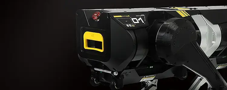 D1